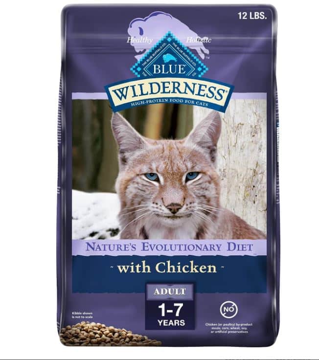 High Protein Cat Food Reviews